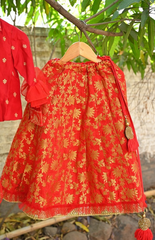 Red Embroidered Shirt Style Top with Kali Styled Brocade Skirt