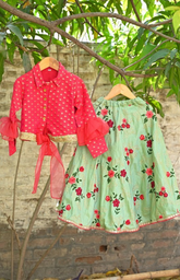 Rani Pink Banarasi Brocade Shirt Style Top with Flower Embroidered Skirt