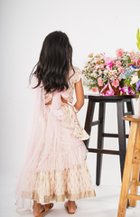 Ghagra Choli with Full Zari Thread & Sequence Embroidery All Over - Light Pink