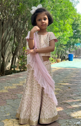 Baby Pink Ghagra Choli with Full Zari Thread & Sequence Embroidery All Over - Lilac