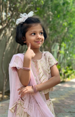 Baby Pink Ghagra Choli with Full Zari Thread & Sequence Embroidery All Over - Lilac