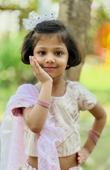 Baby Pink Ghagra Choli with Full Zari Thread & Sequence Embroidery All Over - Lilac