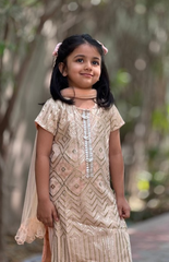 Kurta Salwar with Beautiful Sequence and Threadwork in the Kurta
