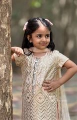 Kurta Salwar with Beautiful Sequence and Threadwork in the Kurta