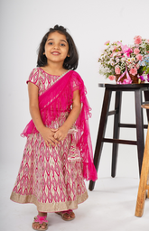 Ghagra Choli with Full Zari Thread & Sequence Embroidery All Over