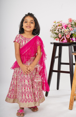 Ghagra Choli with Full Zari Thread & Sequence Embroidery All Over