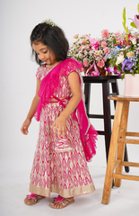 Ghagra Choli with Full Zari Thread & Sequence Embroidery All Over