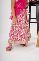 Ghagra Choli with Full Zari Thread & Sequence Embroidery All Over