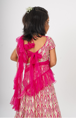 Ghagra Choli with Full Zari Thread & Sequence Embroidery All Over