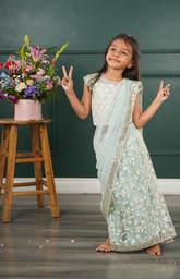 Stitched Sari with Super Comfort Slip-On Style in Lucknowi Work Net - Light Blue