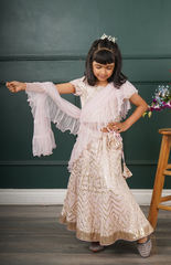 Baby Pink Ghagra Choli with Full Zari Thread & Sequence Embroidery All Over