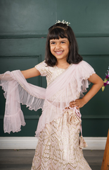 Baby Pink Ghagra Choli with Full Zari Thread & Sequence Embroidery All Over