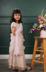 Baby Pink Ghagra Choli with Full Zari Thread & Sequence Embroidery All Over