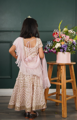 Baby Pink Ghagra Choli with Full Zari Thread & Sequence Embroidery All Over