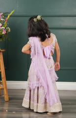 Lilac Ghagra Choli with Full Zari Thread & Sequence Embroidery All Over