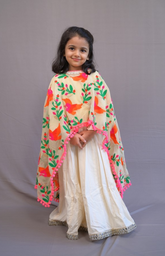 Floor Length Anarkali with Parrot Embroidery Cape