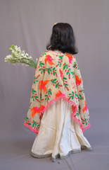 Floor Length Anarkali with Parrot Embroidery Cape