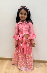 Shirt Style Blouse with Beautiful Parsi Gara Skirt - Pink