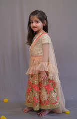 Floral Sequence Coral Floral Embroidery Ghagra Choli with Sequence Embroidered Blouse