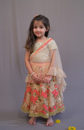 Floral Sequence Coral Floral Embroidery Ghagra Choli with Sequence Embroidered Blouse