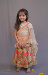 Floral Sequence Coral Floral Embroidery Ghagra Choli with Sequence Embroidered Blouse