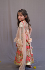 Floral Sequence Coral Floral Embroidery Ghagra Choli with Sequence Embroidered Blouse