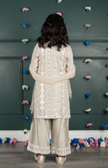 Sitara Lucknowi Mirror Look Embroidered Kurta Set with Silk Pallazo and Net Dupatta - Grey