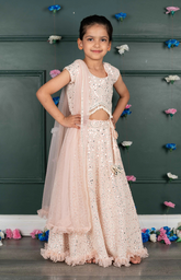 Nude Ghagra Crop Top Set with Amla Mirror Work & Ruffle Dupatta - Soft Pink