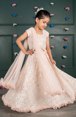 Nude Ghagra Crop Top Set with Amla Mirror Work & Ruffle Dupatta - Soft Pink