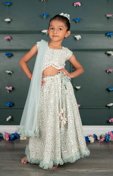 Nude Ghagra Crop Top Set with Amla Mirror Work & Ruffle Dupatta - Blue