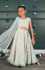 Nude Ghagra Crop Top Set with Amla Mirror Work & Ruffle Dupatta - Blue