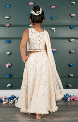 Nude Ghagra Crop Top Set with Amla Mirror Work & Ruffle Dupatta - Nude