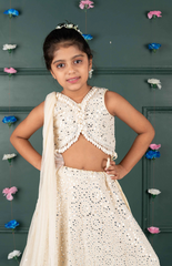 Nude Ghagra Crop Top Set with Amla Mirror Work & Ruffle Dupatta - Nude