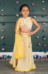 Nude Ghagra Crop Top Set with Amla Mirror Work & Ruffle Dupatta