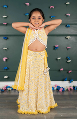 Nude Ghagra Crop Top Set with Amla Mirror Work & Ruffle Dupatta
