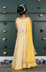 Nude Ghagra Crop Top Set with Amla Mirror Work & Ruffle Dupatta