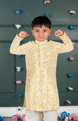 Mirror Kurta with cream and Amla Embroidery all over - Yellow