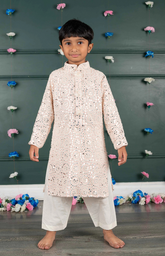 Mirror Kurta with cream and Amla Embroidery all over