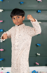 Mirror Kurta with cream and Amla Embroidery all over