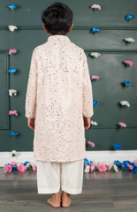 Mirror Kurta with cream and Amla Embroidery all over