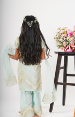 Organza Kurta Palazzo with Stylish Gotta Work