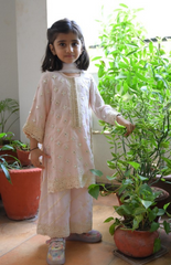 Kurta Palazzo in Kota with Lucknowi Threadwork - Soft Pink