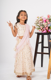 Ghagra Choli with Full Zari Thread & Sequence Embroidery All Over - Light Pink