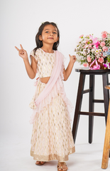 Ghagra Choli with Full Zari Thread & Sequence Embroidery All Over - Light Pink