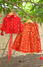 Red Embroidered Shirt Style Top with Kali Styled Brocade Skirt
