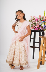 Ghagra Choli with Full Zari Thread & Sequence Embroidery All Over - Light Pink