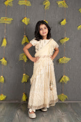 Ghagra Choli Set with Full Zari sequence Embroidery all over - Champagne Gold