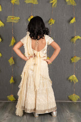 Ghagra Choli Set with Full Zari sequence Embroidery all over - Champagne Gold