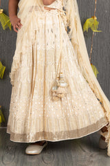 Ghagra Choli Set with Full Zari sequence Embroidery all over - Champagne Gold