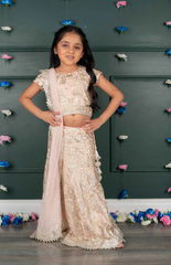 Ghagra Choli Set with Beautiful Foil-Style Zari Threadwork Embroidery in Jungle Safari Pattern - Pale Pink